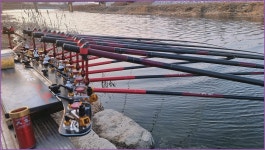 바람따라 구름따라 1221회( 매호천 ) :: 토종붕어를 사랑하는 사람들