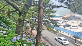 거제 연꽃 수국 명소 및 근포마을 땅굴 투어, 통영 나부동산(122.4m) 산행 - 6. 경상남.북도 산행기 - 관악산.삼성산 기암괴석 및 100대 명산... 