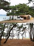 송중기도 왔다 갔다! 전국 차박 캠핑 성지 TOP 5 [RedFriday.co.kr] 송중기도 왔다 갔다! 전국 차박 캠핑 성지 TOP 5