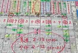 전문가 미래지수 추천마번! 스포츠신문 종합지 검빛 경마왕