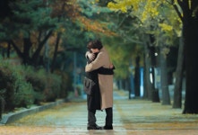 더쿠 - 은행나무 길에서도 코알라