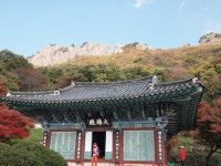 부산테마여행사