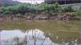 바람따라 구름따라 1375회( 안평천) :: 토종붕어를 사랑하는 사람들