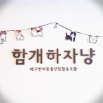 [멍냥스터디] 대구 반려동물 토탈 케어 교육 ‘함개하자냥’