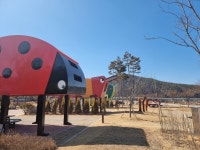 예천 캠핑으로 떠나기 좋은 삼강나루 캠핑장
