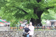 부산테마여행사
