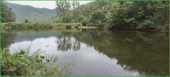 채비의 독조 일기 :: 토종붕어를 사랑하는 사람들