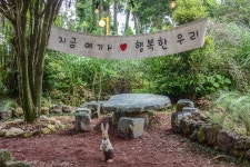 제주, 수국이 아름다운 파더스가든 - ―······아름다운세상 - 천주교 녹번동 성당 제주, 수국이 아름다운 파더스가든