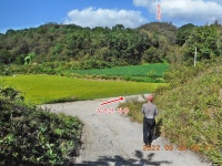 안동 다래등(294),감은산(250),무은산(245.1),향교산(239),깃대배기... 1),향교산(239),깃대배기(217),덤산(261.5),일출봉(278.3)