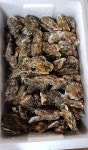 145차 전달) 2022년 2월 떡갈비, 석화 전달 ::: 82cook.com