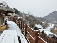 청정자연 속 애견펜션, 홍천 멍박흙집사랑