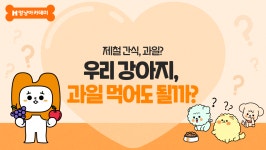 강아지가 먹으면 안 되는 과일이 있다고? 우리 강아지에게 안전한 과일 알아보기