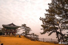 서천 가볼만한 곳, 마량리 동백나무숲 외