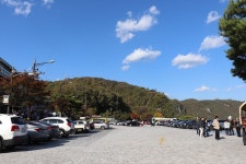 부산테마여행사