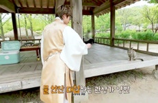 더쿠 - 햄찌랑 고양이 졸귀다ㅋㅋㅋㅋ