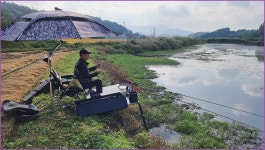 동행출조 :: 토종붕어를 사랑하는 사람들