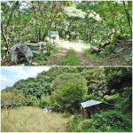 안동 다래등(294),감은산(250),무은산(245.1),향교산(239),깃대배기... 1),향교산(239),깃대배기(217),덤산(261.5),일출봉(278.3)