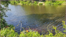 소류지 기행 :: 토종붕어를 사랑하는 사람들