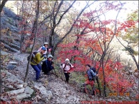 첨단산악회 - 2023년 산행 - 동하의 힘찬새발걸음 231022, 5번째 서울... 사패산 포대능선 Y계곡 신선대 오봉산 여성봉 송추주차장 - 첨단산악회