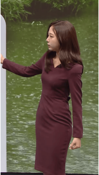 플래시24- > 움짤 > 오요안나 기상캐스터 라인
