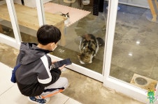 [몹시평상] 내복군단 전용평상 개시와 안녕 고양이 | 보배드림 시승기/배틀/목격담