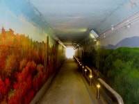 2024 평회누리길 6월 2회차 정기모임 5-4코스 - ◈ ―‥‥최윤영산행기 - 사람사는이야기속으로 2024 평회누리길 6월 2회차 정기모임 5-4코스