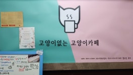 고양이없는 고양이카페 냥토피아