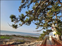 231208, 함평 돌머리, 해품솔펜션 전망대 돌머리해수욕장 무지개다리... 돌머리, 해품솔펜션 전망대 돌머리해수욕장 무지개다리... 