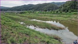 바람따라 구름따라 1375회( 안평천) :: 토종붕어를 사랑하는 사람들