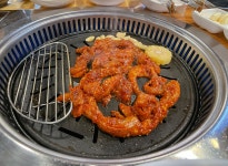 장기동 아톰막창 쫄깃쫄깃 생막창・닭목살 맛집