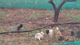 한화 구미사업장 3월 정출 :: 토종붕어를 사랑하는 사람들