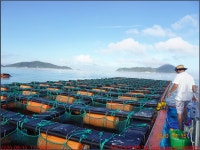 죽항도 도리산전망대 - 처가족과 함께 - 가족 모임 - 동하의... 여행, 팽목항 창유항 신전리 한옥펜션 죽항도 도리산전망대 - 처가족과 함께