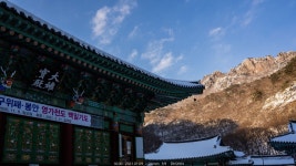 여행기 - 내장산 눈꽃 2021.01.09