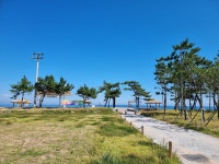 경북 영덕 장사해수욕장에서 바다보며 바람쐬고 힐링하고 왔어요