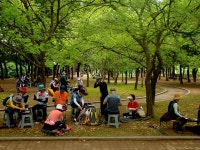 2024 평회누리길 6월 2회차 정기모임 5-4코스 - ◈ ―‥‥최윤영산행기 - 사람사는이야기속으로 2024 평회누리길 6월 2회차 정기모임 5-4코스