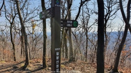 여행기 - 대원사 천봉산 털조장나무 2022.04.02