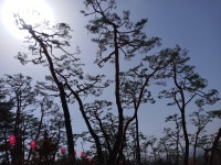 산행기 - 회암사지 - 천보산 - 칠봉산