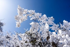 여행기 - 설악을 간신히 넘다...^^