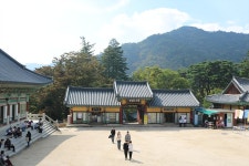 부산테마여행사