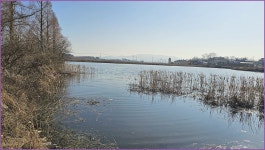 바람따라 구름따라 1419회( 한동지 ) :: 토종붕어를 사랑하는 사람들