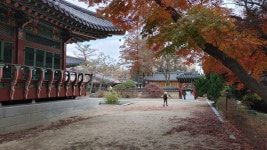 강서구 메이필드 호텔 한식당 낙원, 한우양념갈비 정식 : 클리앙