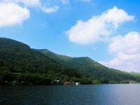 청춘어락 > 산천초목 괴산 신흥지 : 낚시사랑