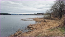 동행 출조 ( 장척지 ) :: 토종붕어를 사랑하는 사람들