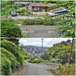 안동 다래등(294),감은산(250),무은산(245.1),향교산(239),깃대배기... 1),향교산(239),깃대배기(217),덤산(261.5),일출봉(278.3)