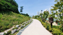 '독순봉 공원'을 산책하며... "아기자기한 제천의 풍경을 감상하다"