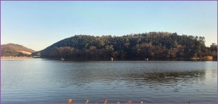 부부조사 조행일기 :: 토종붕어를 사랑하는 사람들