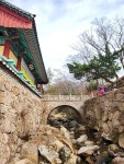 부산테마여행사