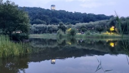 夜야 景경 散策산책 - 수도여고 14회