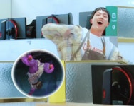 더쿠 - 꼬마 놀리는 왕초딩둥이