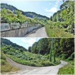 안동 다래등(294),감은산(250),무은산(245.1),향교산(239),깃대배기... 1),향교산(239),깃대배기(217),덤산(261.5),일출봉(278.3)